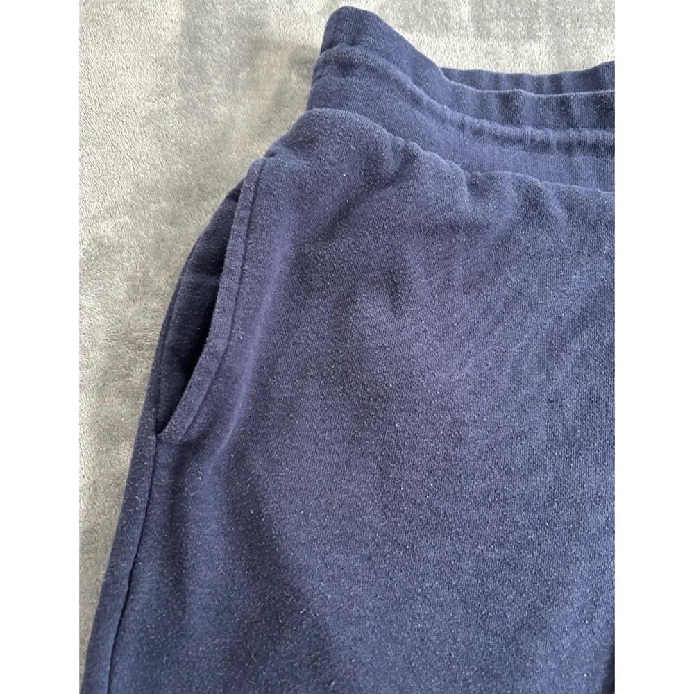 True Religion Joggers